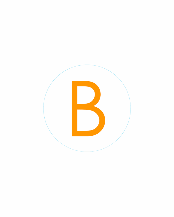 Bogg Bit - Initial "B"