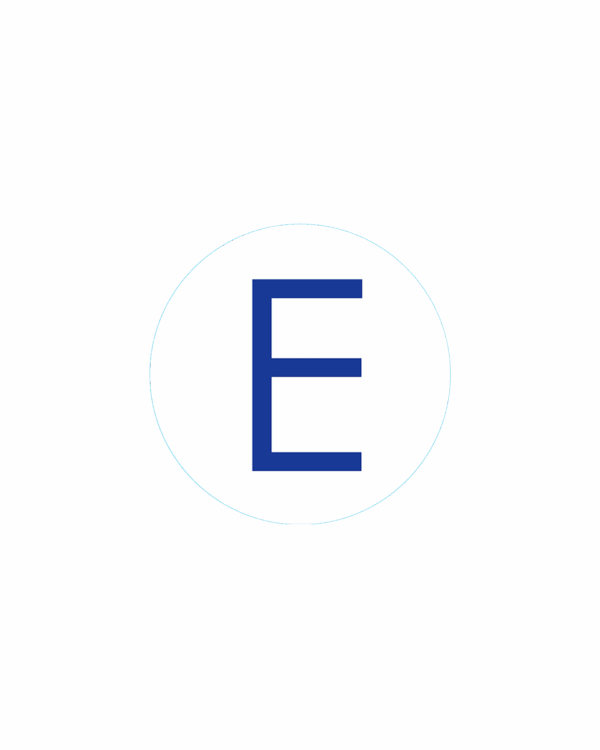 Bogg Bit - Initial "E"