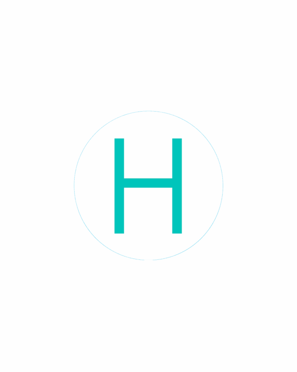 Bogg Bit - Initial "H"