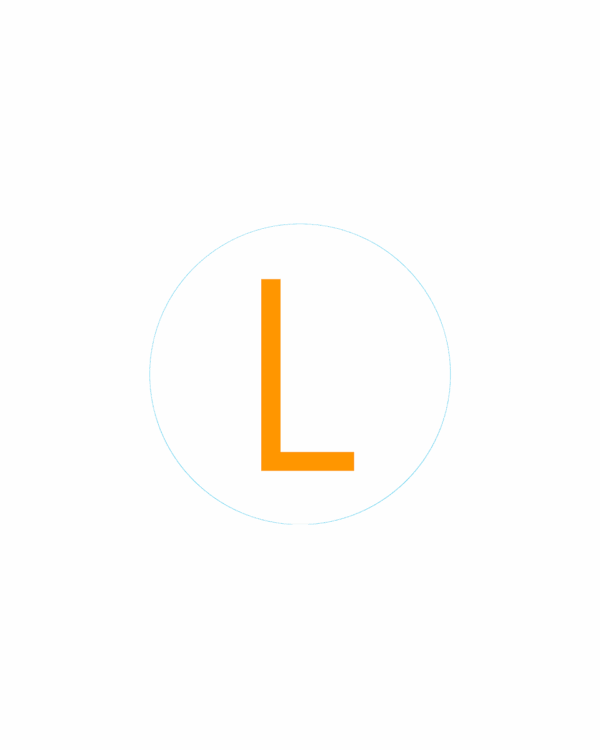 Bogg Bit - Initial "L"