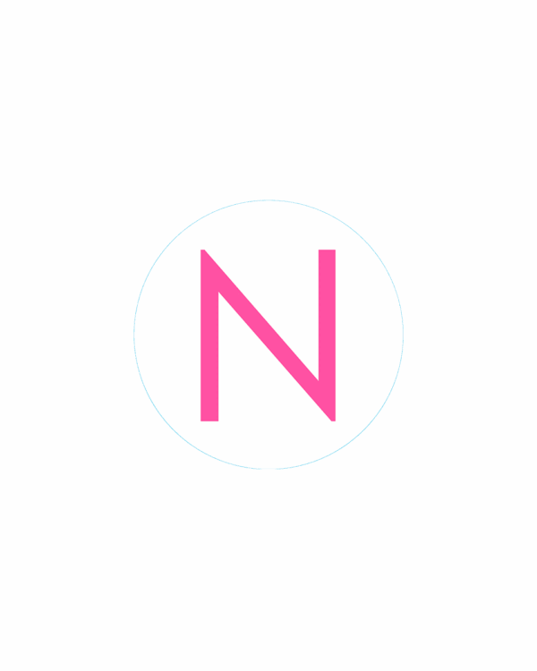 Bogg Bit - Initial "N"