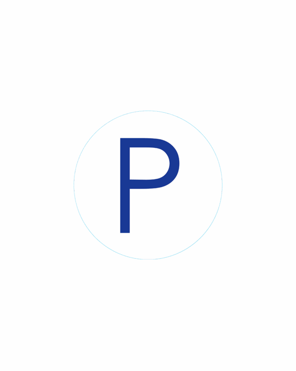 Bogg Bit - Initial "P"