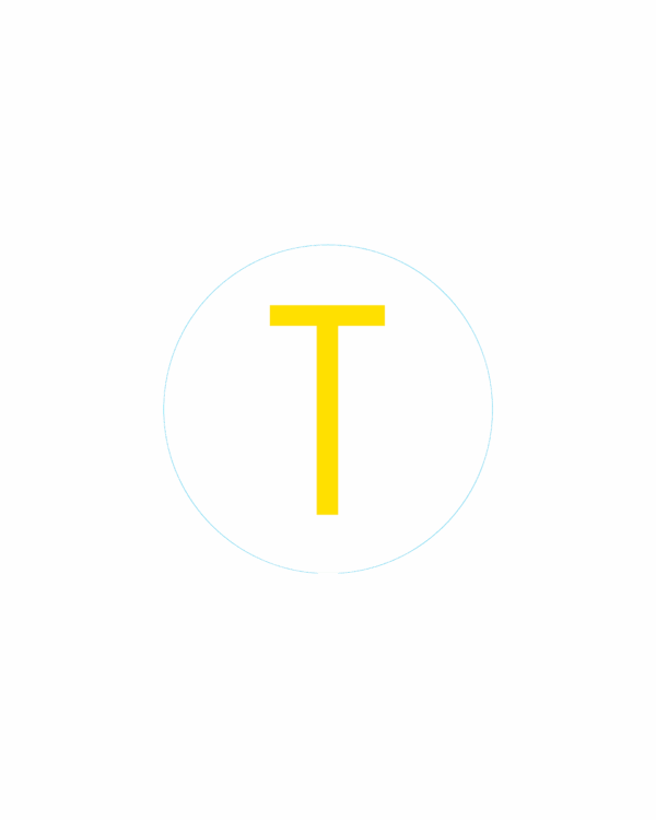Bogg Bit - Initial "T"