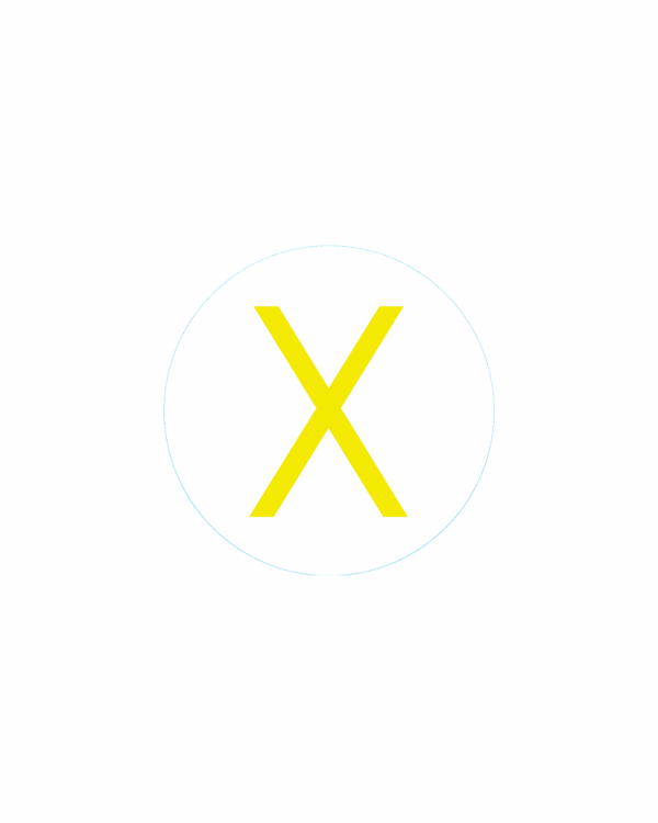 Bogg Bit - Initial "X"