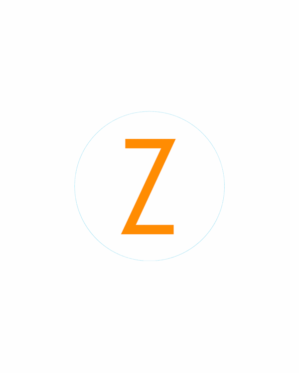 Bogg Bit - Initial "Z"
