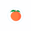 Bogg Bit - Peach