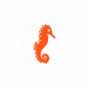 Bogg Bit - Seahorse