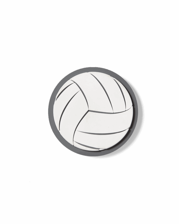 Bogg Bit - Volleyball