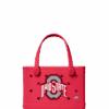 Bitty Bogg Bag - Ohio State Buckeye