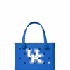 Bitty Bogg Bag - Kentucky Wildcats