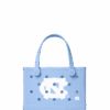 Bitty Bogg Bag - North Carolina Tar Heels